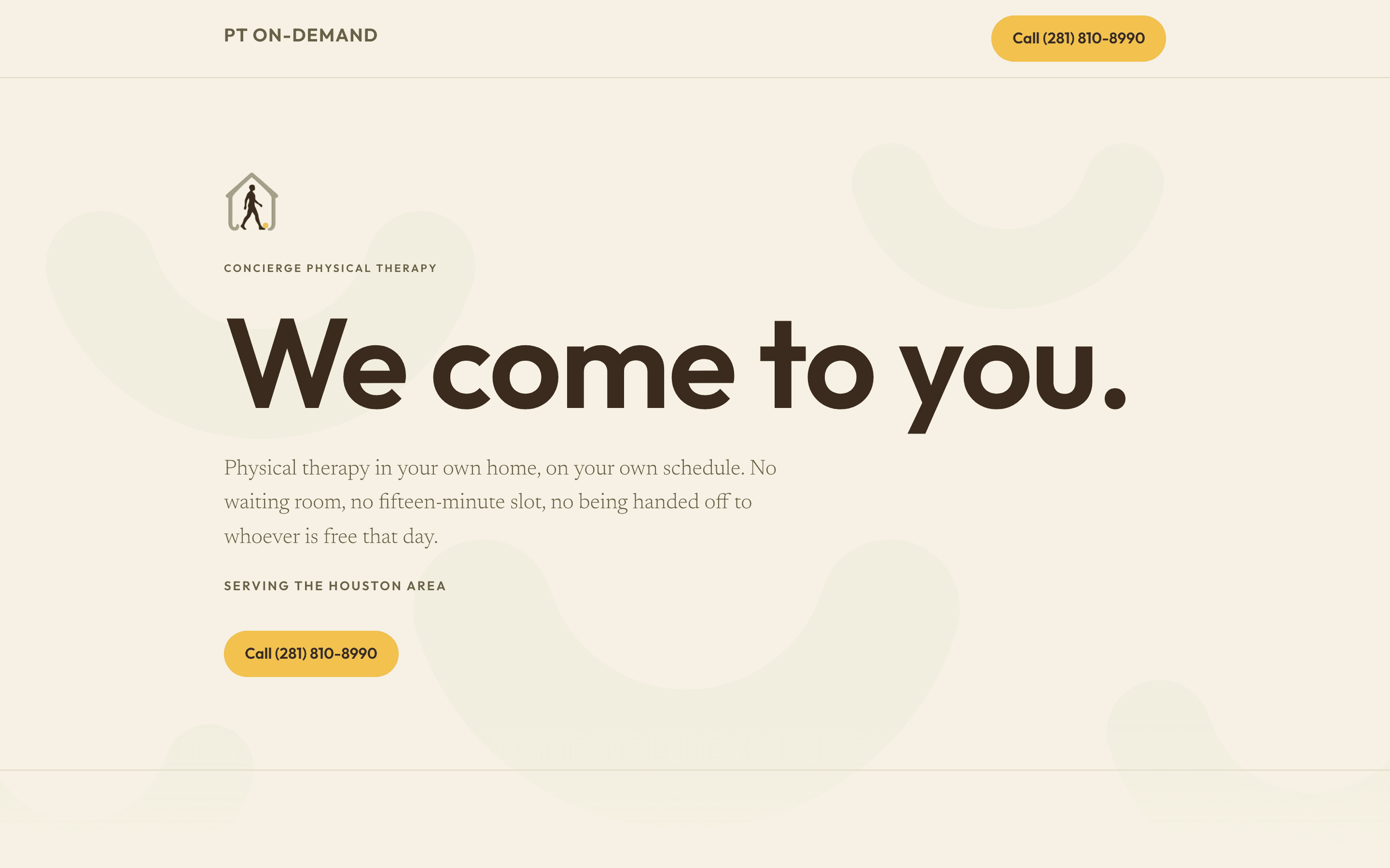 Screenshot of PT On-Demand — live client website